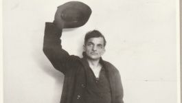 ringeln.jpg