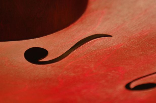 Cello2.jpg