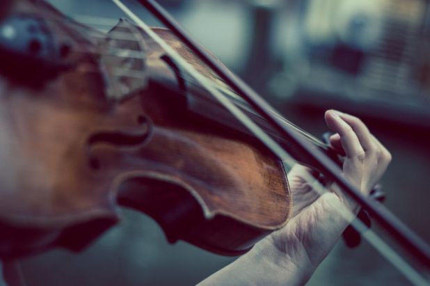 violine.jpg