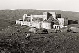 Die 755 m hoch gelegene Kreuzritterburg Krak des Chevaliers, 1960 - Historische Fotos aus den Jahren 1953 und 1960: Syrien – Fragmente einer Reise. Fragmente einer Zeit