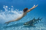 Ocean Feeling - Wim Westfield - Abenteuer-Fotograf in und auf allen Weltmeeren